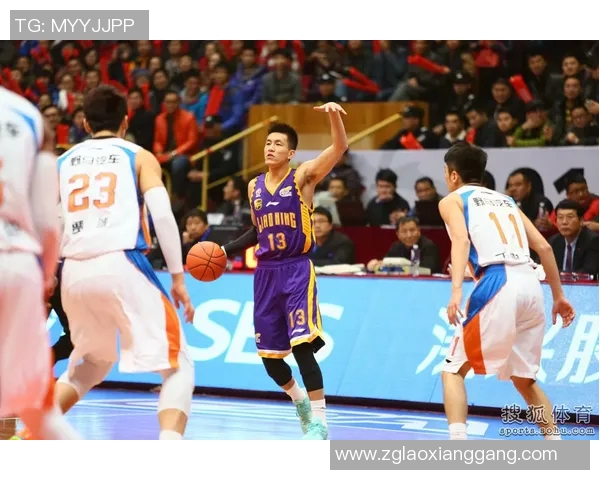 四川对阵辽宁精彩比赛录像回放分析及精彩瞬间集锦分享